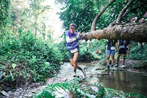 BIB: 
                            <button type="button" onclick="openModal(25443364)" class="btn btn-primary btn-sm float-right btn-popup" data-toggle="modal" data-target=".modal-high-quality">
                        <i class="fas fa-shopping-cart"></i> Add to Cart
                    </button>
                                            <button type="button" onclick="isThisMe(25443364, true)" class="btn btn-success btn-sm float-right btn-popup btn-isme hidden" data-toggle="tooltip" data-placement="bottom" title="นี่คือรูปของคุณใช่ไหม คลิกที่นี่เพื่อเอาเข้าอัลบั้ม">
                        <i class="fas fa-plus"></i> Add to album
                    </button>
                    <button type="button" onclick="isThisMe(25443364, false)" class="btn btn-warning btn-sm float-right btn-popup btn-isnotme hidden">
                        <i class="fas fa-ban"></i> Remove from album
                    </button>